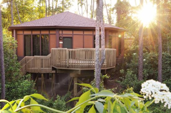 Disney's Treehouse Villas at Disney's Saratoga Springs Resort & Spa