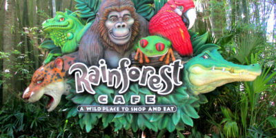 Rainforest Cafe - Animal Kingdom