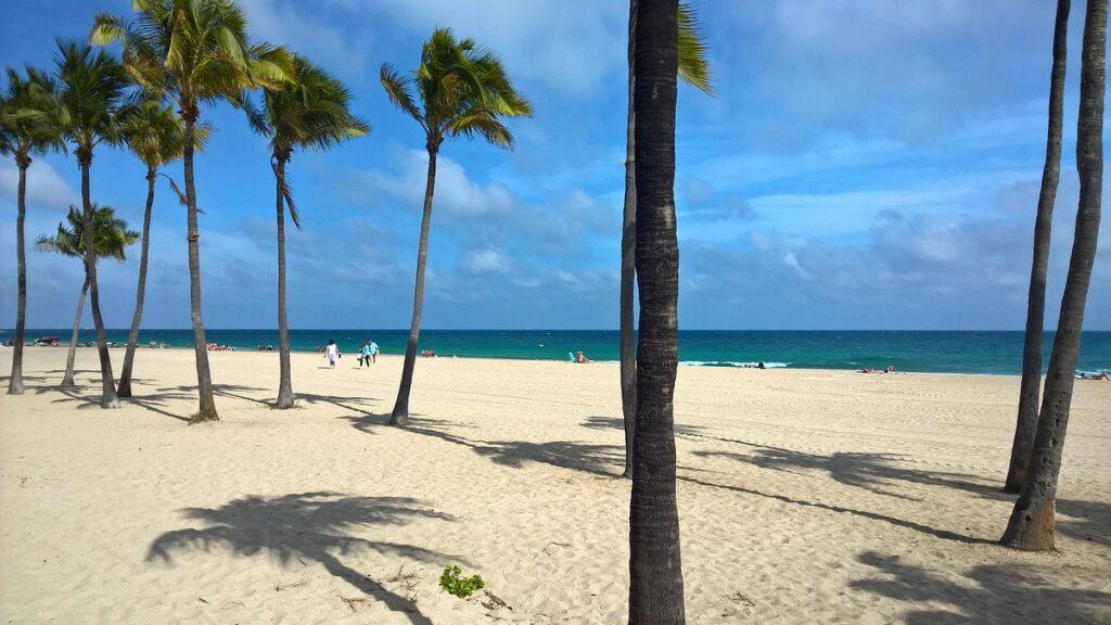 fll las olas
