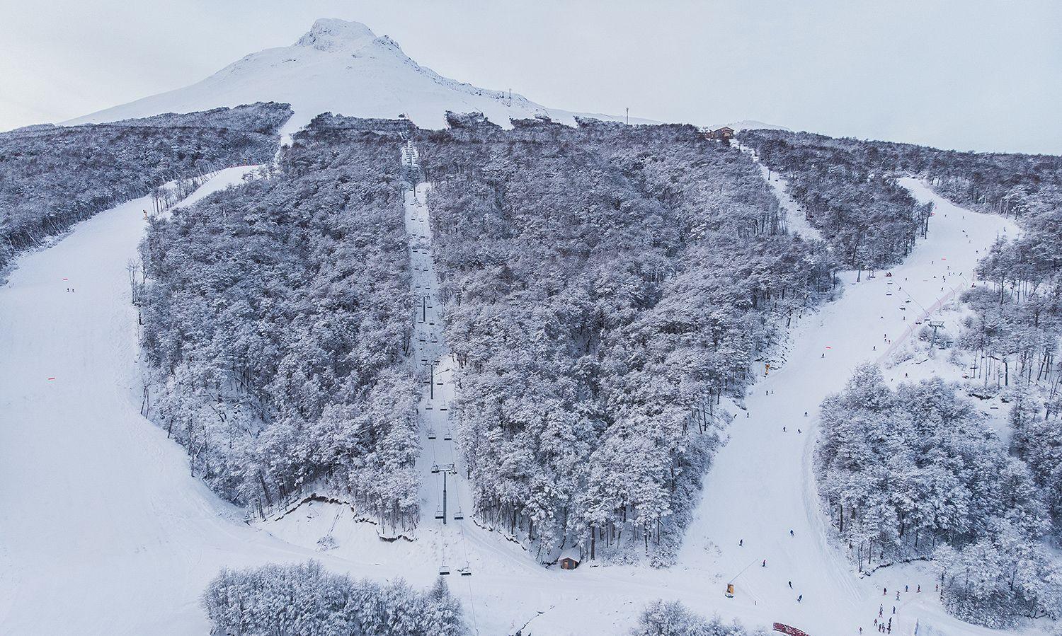 Esquiador fazendo curva controlada na neve em Cerro Castor, Argentina