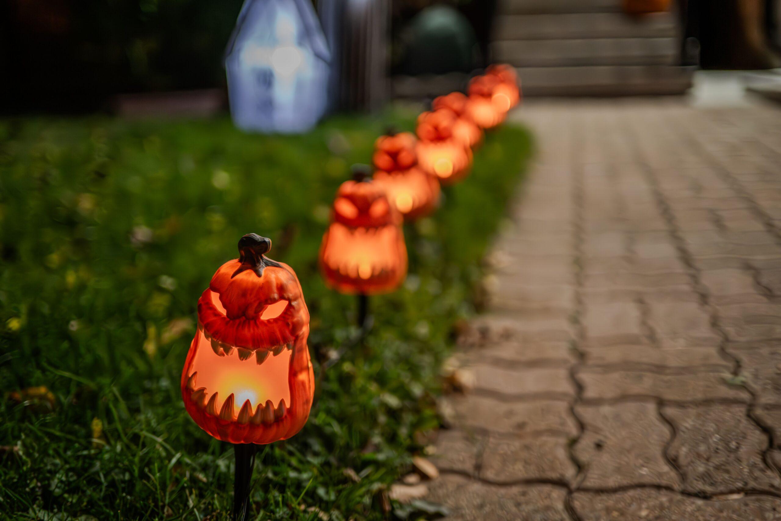 Ababoras iluminadas decorando um caminho do Magic Kingdom durante a temporada de Halloween